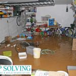 Damp Solving Water & Mold