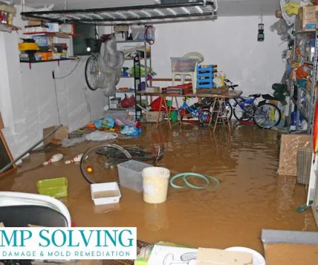 Damp Solving Water & Mold