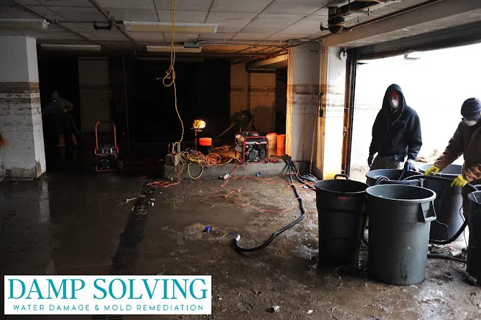 Damp Solving Water & Mold Picture 7