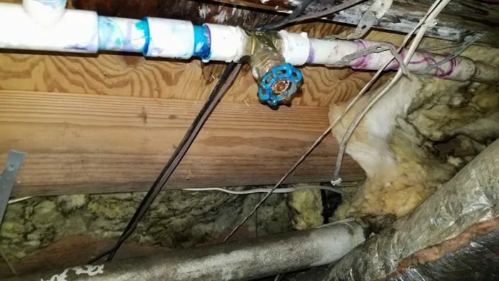 Square Soft Restoration Picture 5