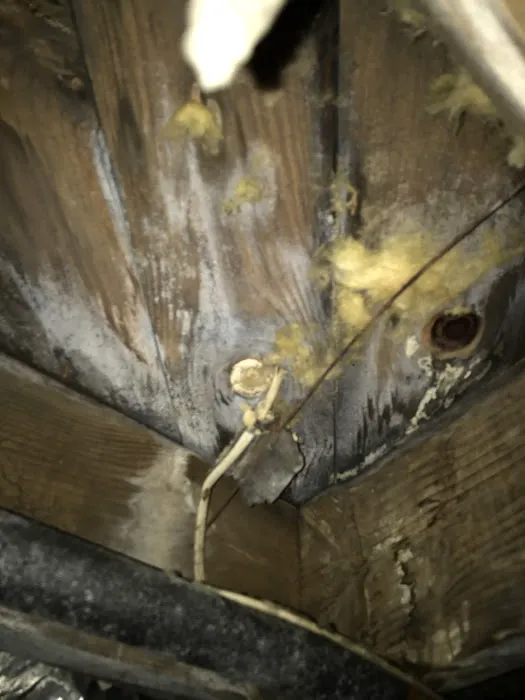 Water damage restoration service Picture 1