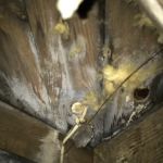 Water damage restoration service