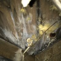 Water damage restoration service ico