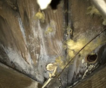 Water damage restoration service