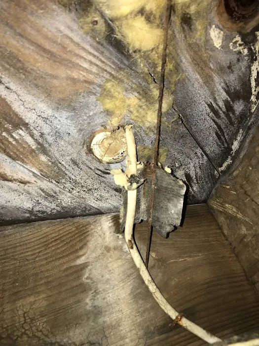 Water damage restoration service Picture 3