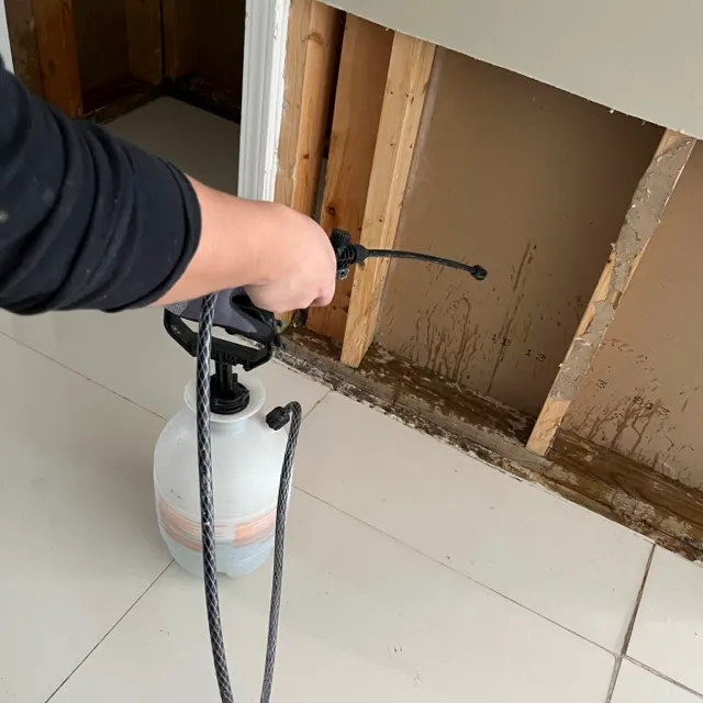 Family Restoration Experts Picture 3