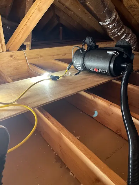 Family Restoration Experts Picture 5