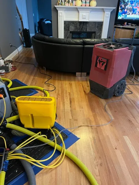 Family Restoration Experts Picture 9