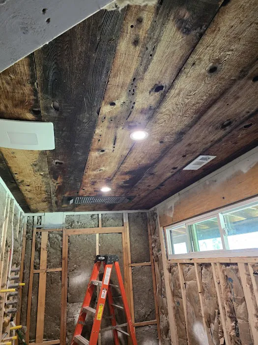 MTX Restoration Picture 2