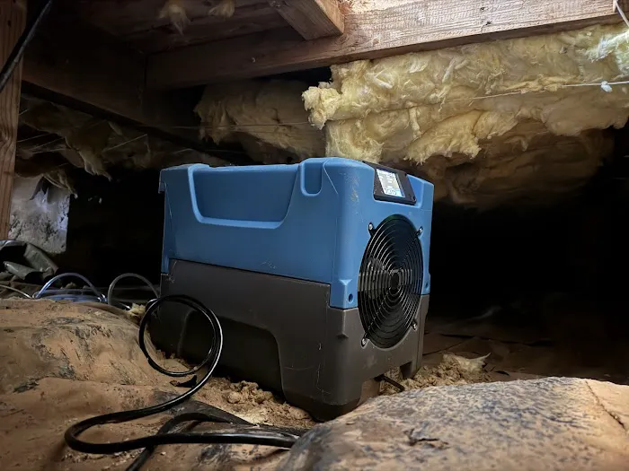 True Resolve Restoration Picture 1