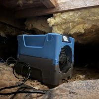 True Resolve Restoration ico