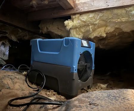 True Resolve Restoration