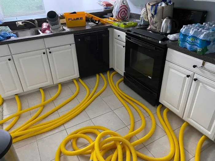 Flood Pros USA Picture 10