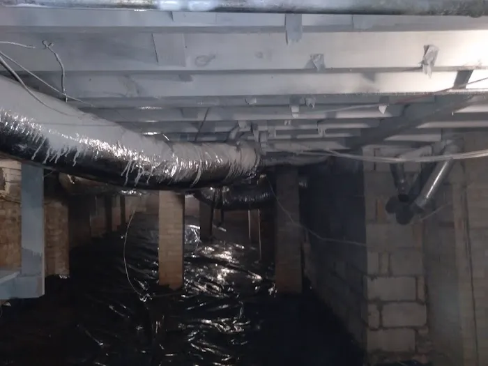 Mr. Mold Removal & Water Restoration Picture 3