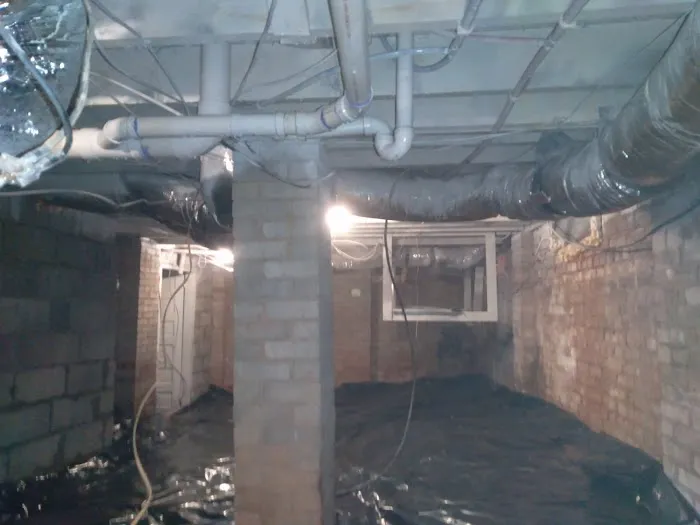 Mr. Mold Removal & Water Restoration Picture 7