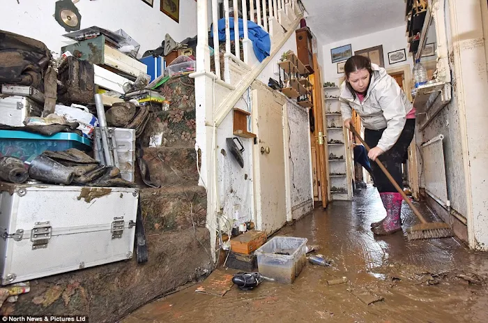 Water Damage - CAT Recovery Services Inc. Picture 3