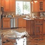 Big Bear Restoration