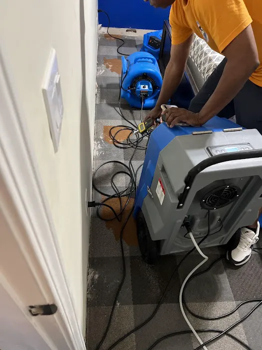 Alliance Restoration and Cleaning Inc. Picture 3