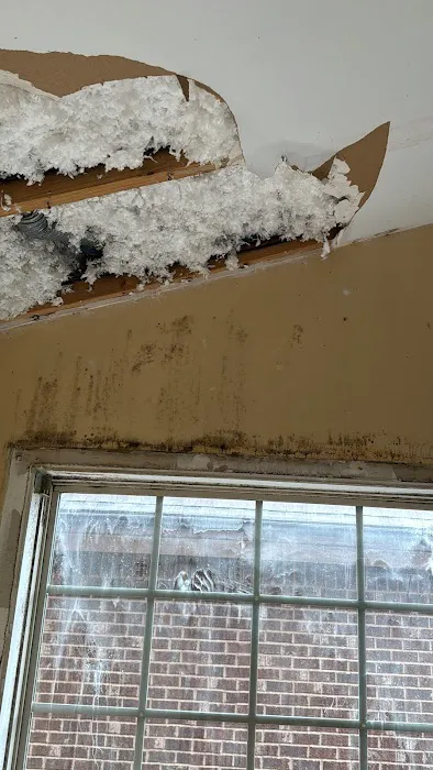 Alliance Restoration and Cleaning Inc. Picture 8