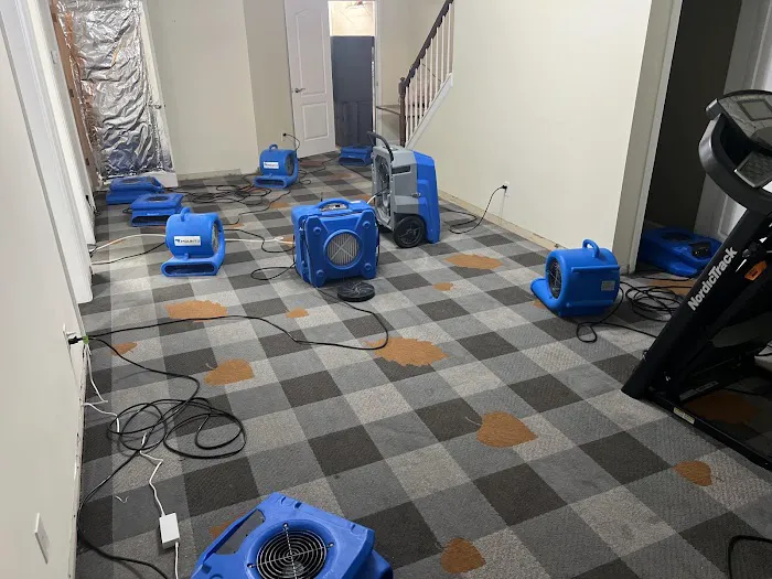 Alliance Restoration and Cleaning Inc. Picture 10