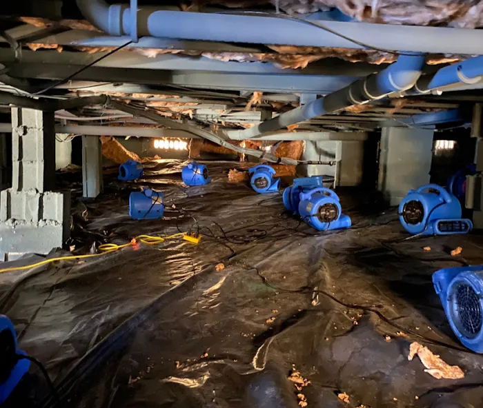 Phoenix One Restoration, Inc. Picture 6