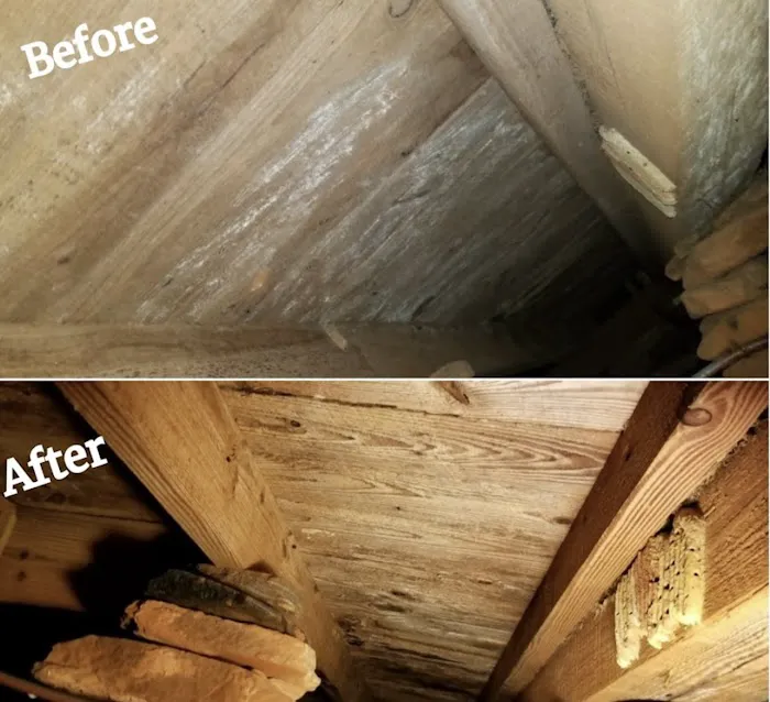 Americans First Restoration Picture 1