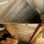 Americans First Restoration