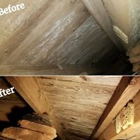 Americans First Restoration ico