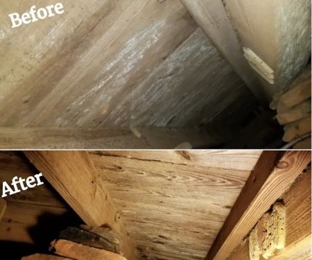 Americans First Restoration