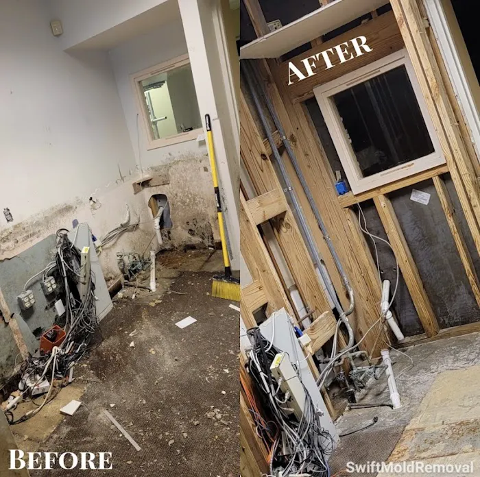 Americans First Restoration Picture 3