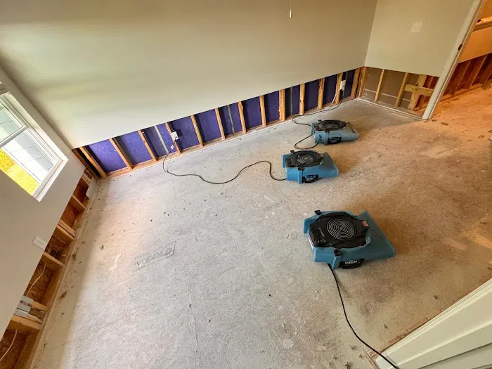 Americans First Restoration Picture 5