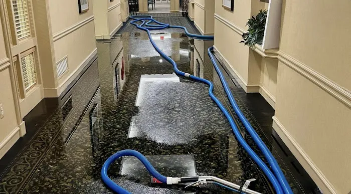 Americans First Restoration Picture 7