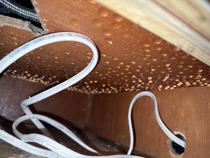 Zen Dry Restoration Picture 2