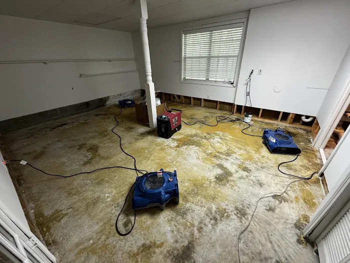 Zen Dry Restoration Picture 1