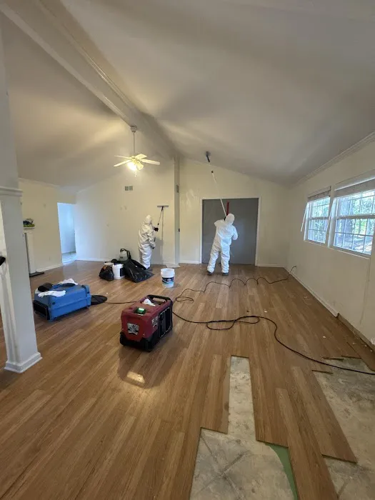 Zen Dry Restoration Picture 4