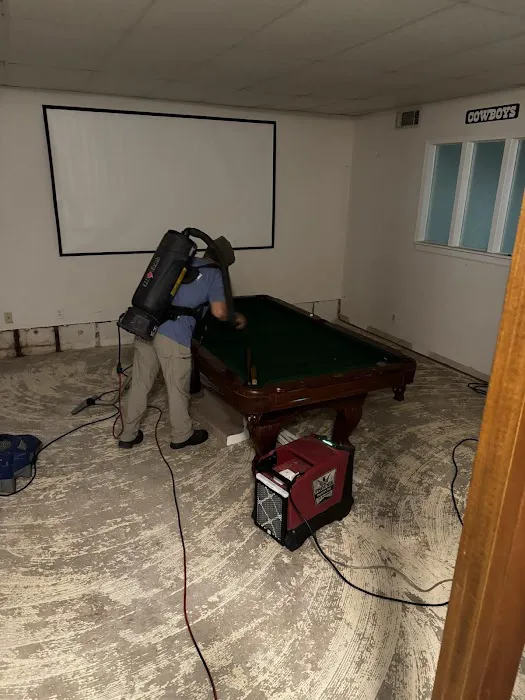 Zen Dry Restoration Picture 6