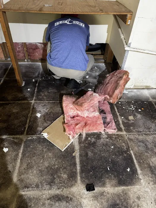 Zen Dry Restoration Picture 10