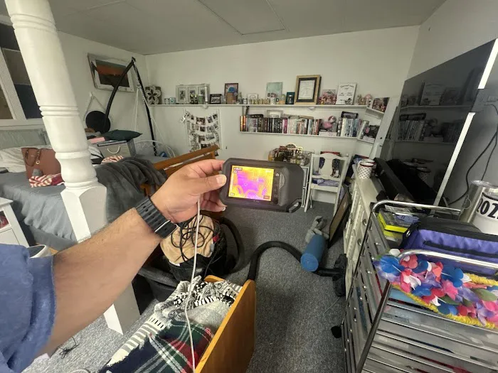 Zen Dry Restoration Picture 9