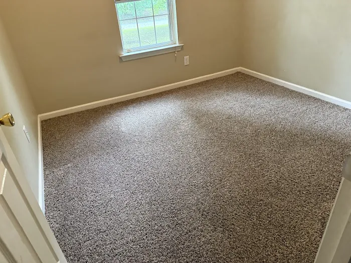 Stanley Steemer Picture 3