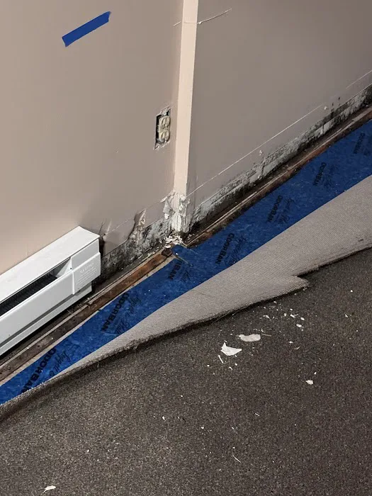 Property Medics of Georgia Picture 4