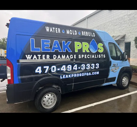 Leak Pros of Georgia Picture 2