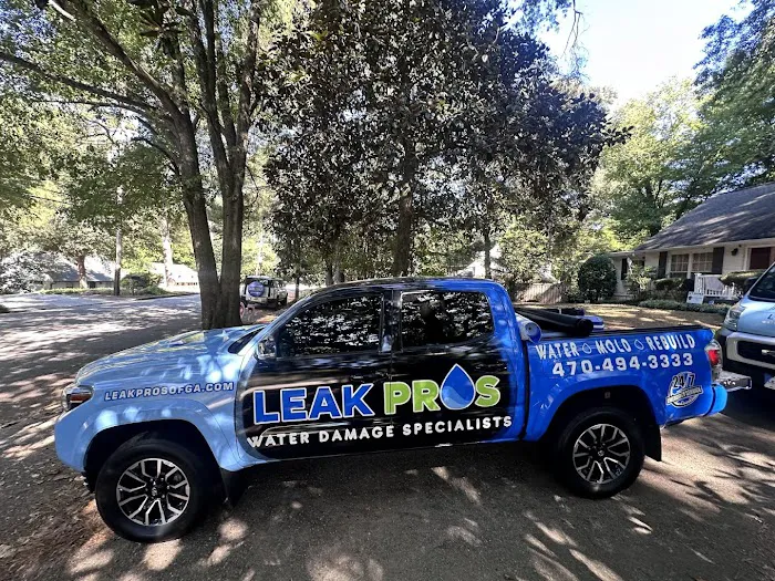 Leak Pros of Georgia Picture 3