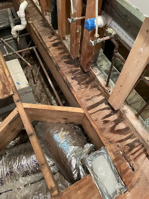 Leak Pros of Georgia Picture 7