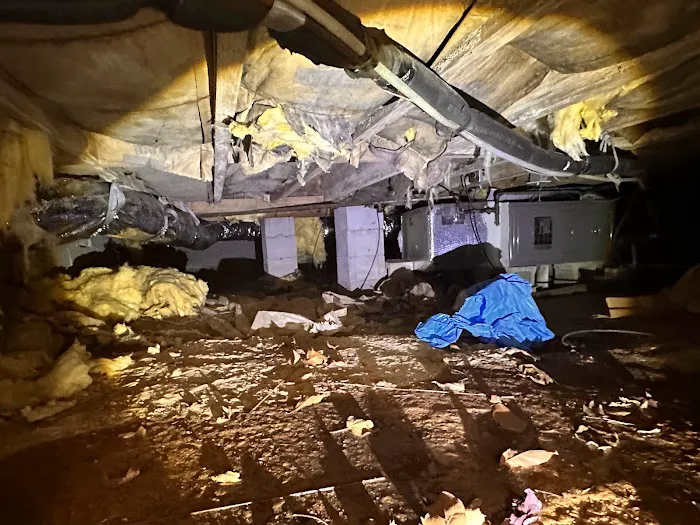 Leak Pros of Georgia Picture 8