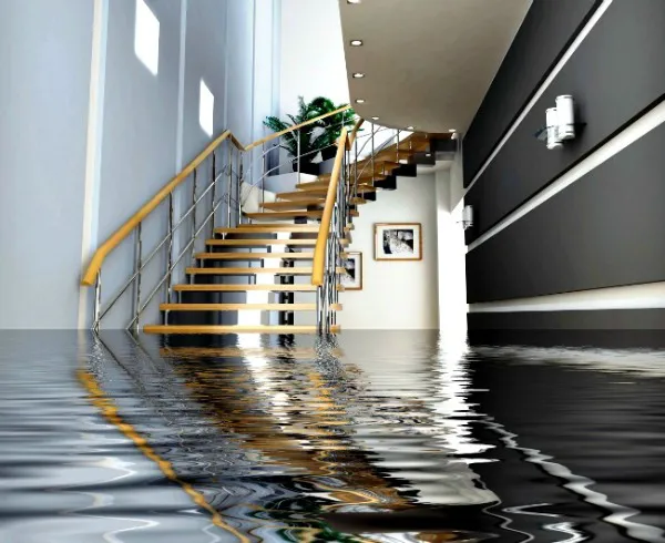 Warrior Restoration Picture 1