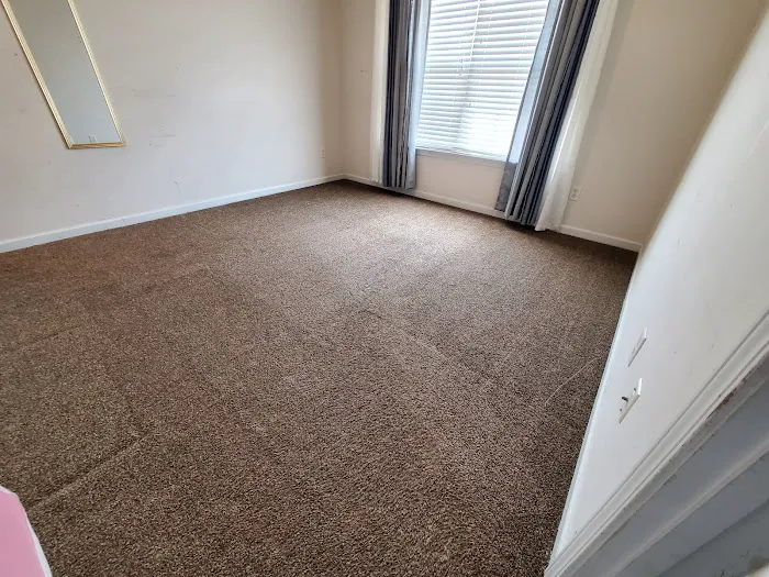 True Care carpet cleaners Picture 1