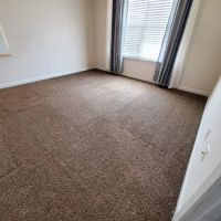 True Care carpet cleaners ico