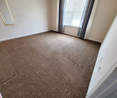 True Care carpet cleaners