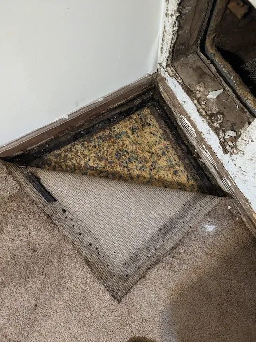 True Care carpet cleaners Picture 5