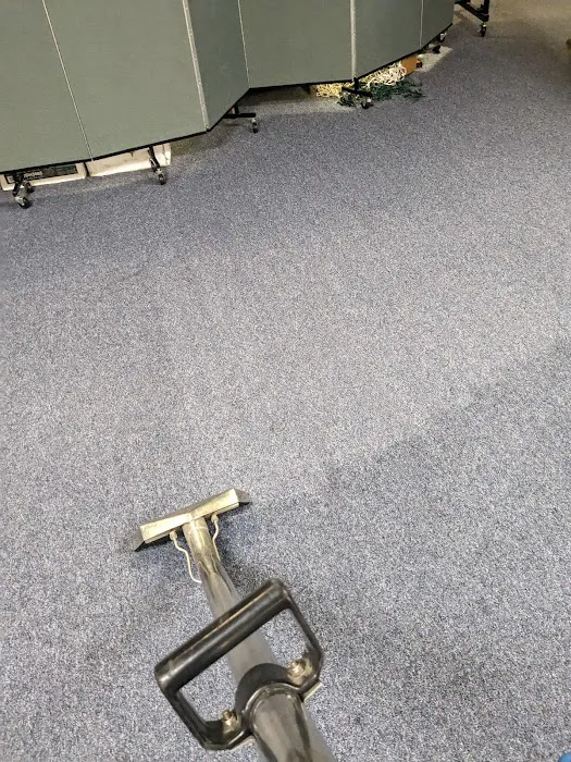 True Care carpet cleaners Picture 10